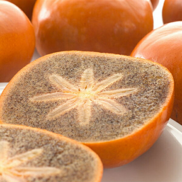 【ふるさと納税】 【秋の美味】【和歌山ブランド】和歌山柿 濃厚!紀ノ川柿 10〜18玉入り【GO-05】 ※2026年10月下旬～11月中旬に順次発送予定 ※着日指定不可 ※着日指定不可