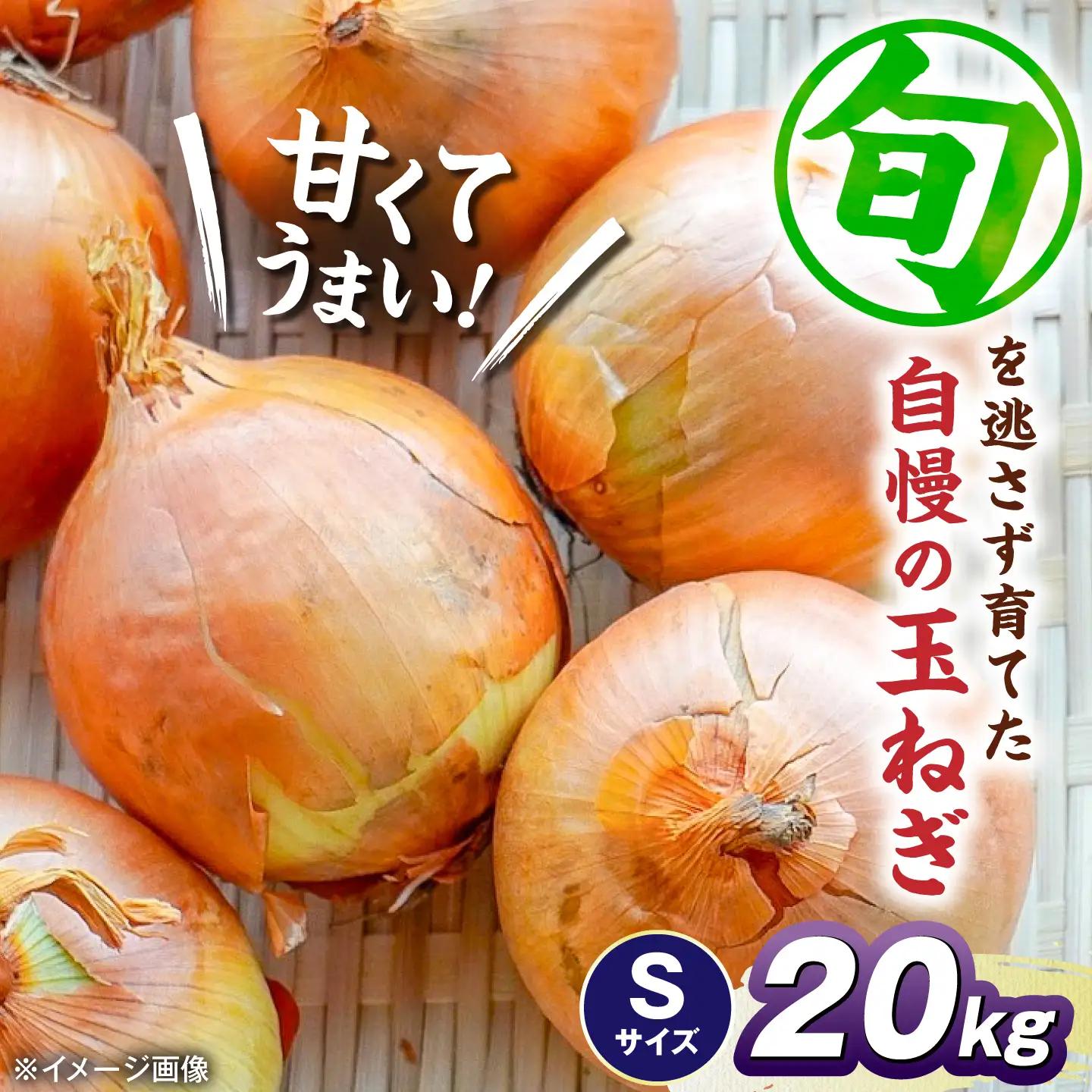 【先行予約】玉ねぎ20kg（Sサイズ）[AQDZ013]玉ねぎ