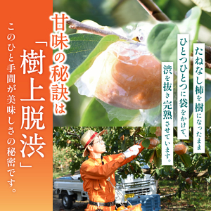 カキエモン農園の紀の川柿 約5kg 18 ～ 20個【9月下旬～11月末頃発送】