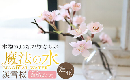 新春　淡雪桜　さくら　魔法の水　マジカルウォーター『薄紅』