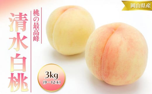桃 2025年 先行予約 清水 白桃 3kg 9～12玉 もも モモ 岡山 国産 フルーツ 果物 ギフト 桃茂実苑