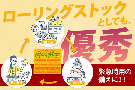 【大塚製薬】カロリーメイトブロック4本入り フルーツ味30箱＋メープル味30箱［徳島 那賀 カロリーメイト フルーツ メープル ビタミン ミネラル たんぱく質 脂質 糖質 5大栄養素 バランス栄養食 
