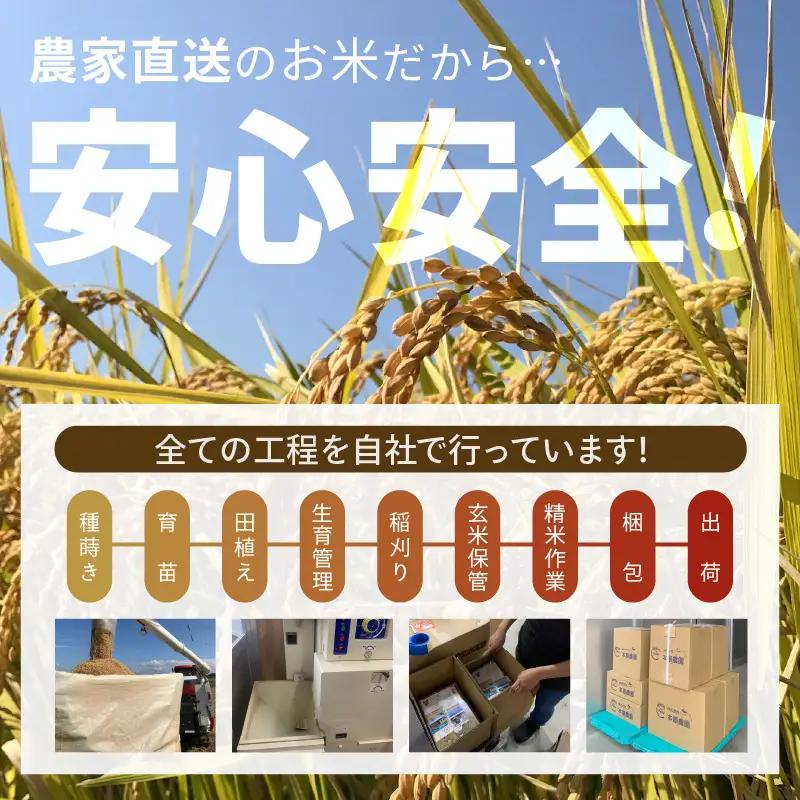 【先行予約】【令和8年産・新米】【農家直送定期便 2ヶ月コース】本原農園のまごころコメたコシヒカリ 10kg × 2回 計20kg（玄米）【2026年10月上旬以降順次発送】 [D-8916_02]