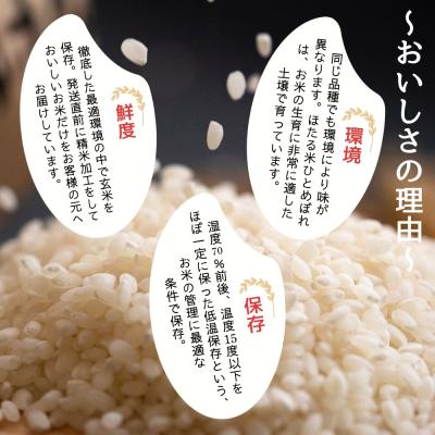 ふるさと納税 東松島市 【令和7年産米】 特別栽培米 ほたる米 ひとめぼれ 精米 10kg |  | 01
