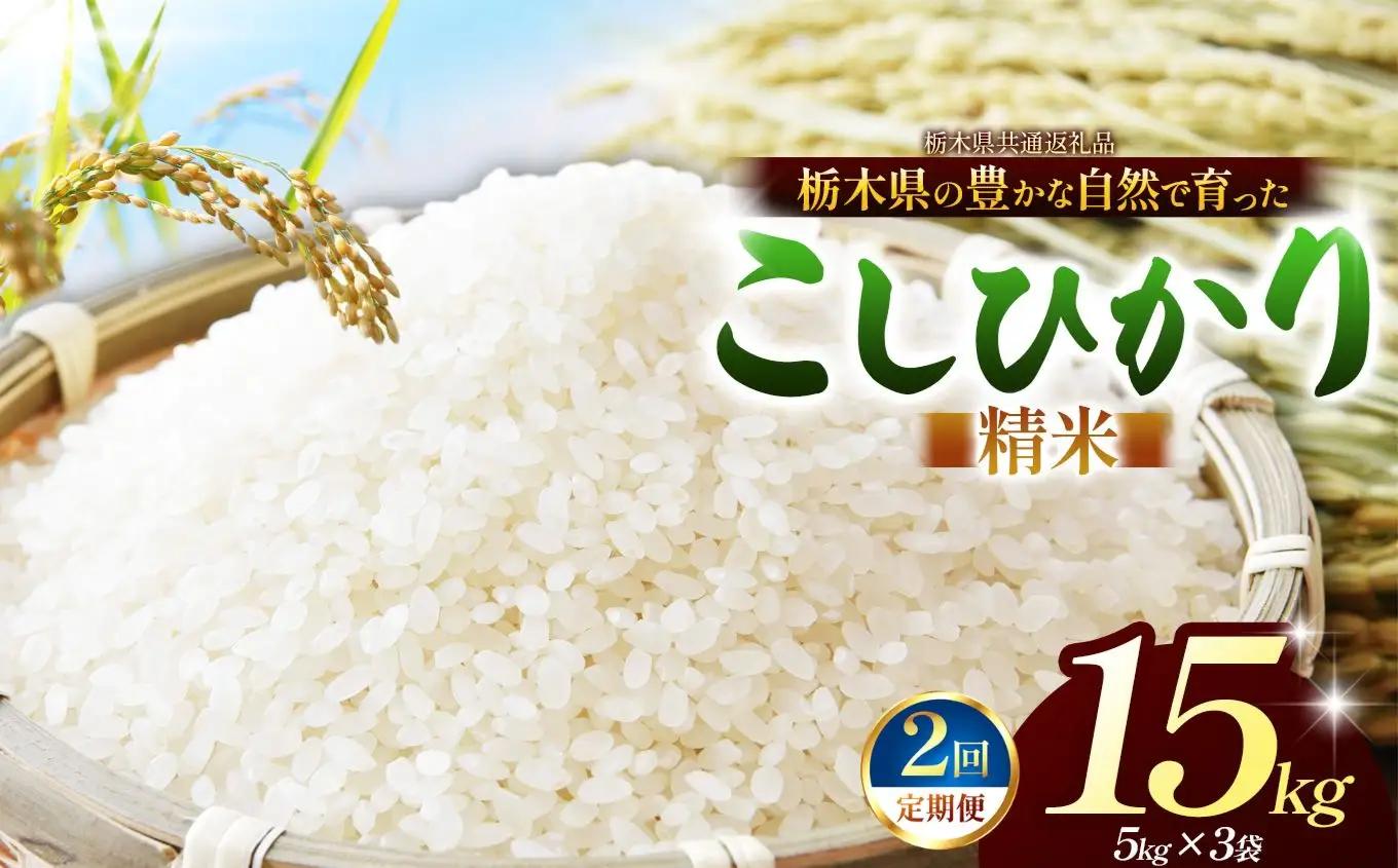 【栃木県共通返礼品】【定期2回】【令和８年度産】コシヒカリ 15kg お米  米 | 栃木県 那珂川町 送料無料