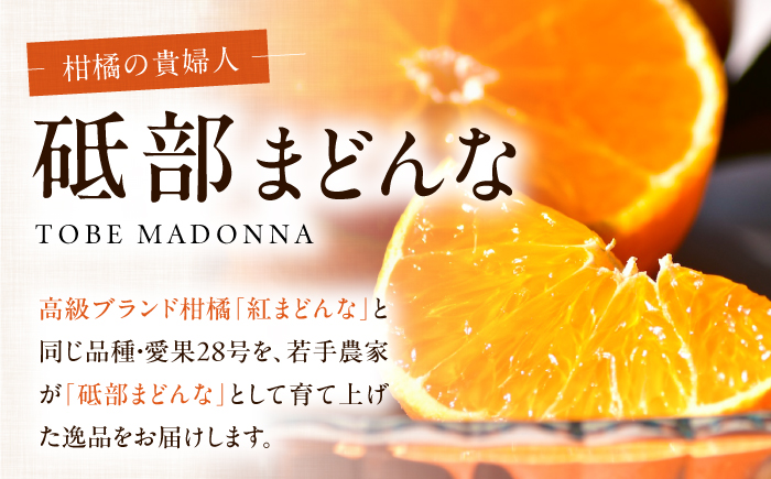 みかん 紅まどんな 約2kg【11月中旬から12月下旬まで順次発送】/ フルーツ 果物 柑橘 蜜柑 ミカン オレンジ まどんな マドンナ 紅マドンナ 砥部まどんな 愛果28号 約2kg 甘い 先行予約