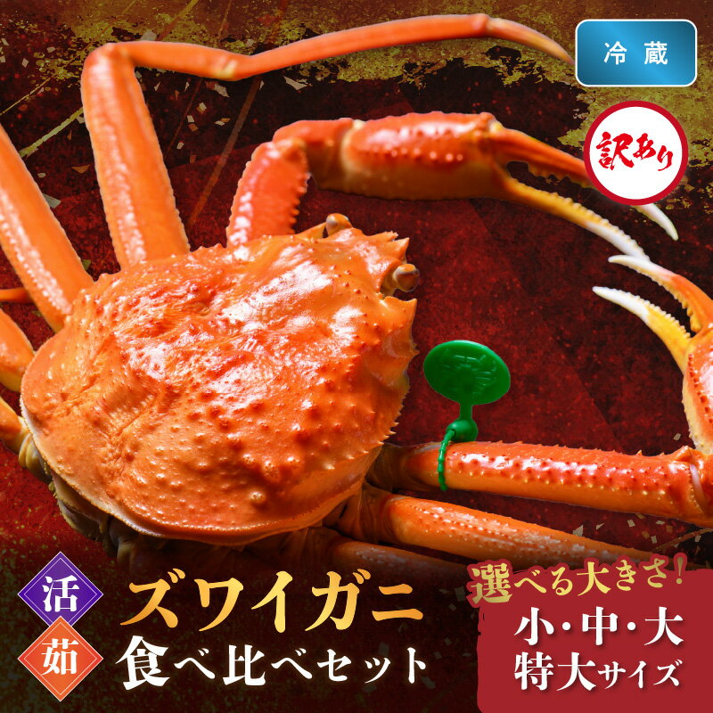 【ふるさと納税】訳あり【蟹の匠 魚政】京丹後産 ズワイガニ 食べ比べセット〈活×茹〉小サイズ 中サイズ 大サイズ 特大サイズ2杯入り　（2026年1月～3月発送）