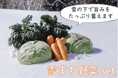 雪まち野菜セット（キャベツ、ニンジン、ほうれん草、くらかけ豆）季節・数量限定