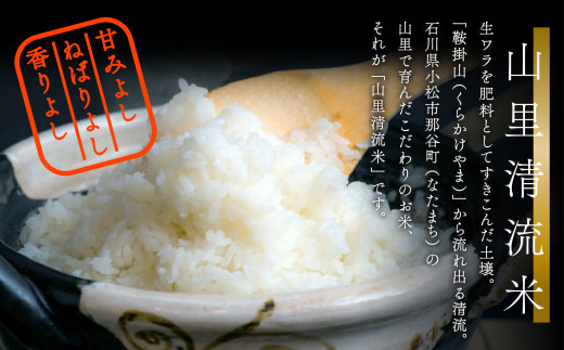 【6回定期便】 令和8年産 新米 コシヒカリ 山里清流米 【玄米】 5kg × 6回 | コシヒカリ 玄米 げんまい こめ こしひかり 石川県産 小松市産 R8年産 2026年産 石川県 小松市 ジャ