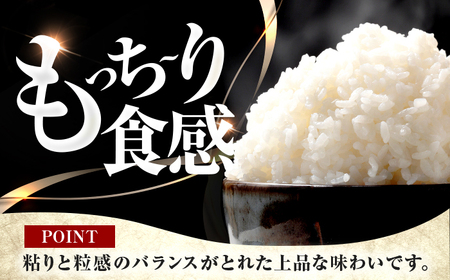 【新米】【6回定期便/2ヵ月に1回】 福井県産 コシヒカリ 精米 (白米) 10kg 一等級　福井県米 /甘みと粘りが際立つ 王道米 こしひかり 小浜市 / 若狭ふれあい市場[BFEL033]