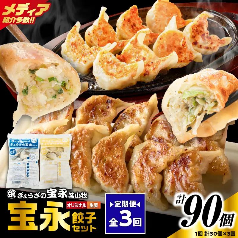 【定期便・全3回 毎月】手包み餃子 ぎょうざの宝永 生姜餃子30個セット（宝永餃子15個入×1袋・生姜餃子15個入×1袋） T004-T05-01-02 定期便 定期 惣菜 総菜 餃子