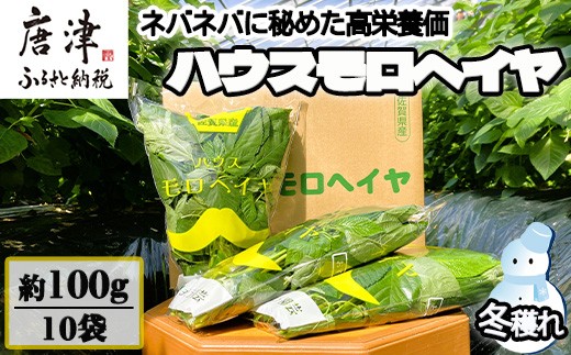 『先行予約』【12月上旬より順次発送】冬穫れハウスモロヘイヤ 100g×10袋 ネバネバ 高栄養価（βカロテン/各種ビタミン/カルシウム/カリウム/葉酸など) 定番おひたし 和洋中の各種スープ 色んな