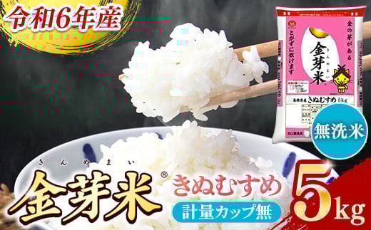 BG無洗米・金芽米きぬむすめ 5kg 計量カップ無し【令和6年産 節水 低カロリー 健康 ビタミン ミネラル つや お弁当 おいしい うまみ 甘み ふっくら 時短 簡単 島根県 安来市】【価格変更】