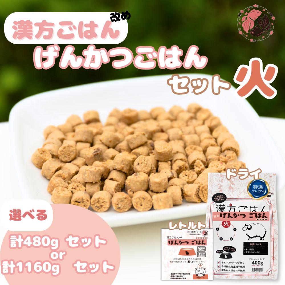 【ふるさと納税】 ペットフード 犬 げんかつごはん 【 選べる 容量 】 漢方ごはん 火ドライタイプ レトルト 計480g 計1160g セット 愛犬用 ノンオイルコーティング 鶏 食養生 薬膳 総合栄養食 安心素材 北海道食材 漢方食材 着色料 保存料 酸化防止剤不使用 北海道 札幌市