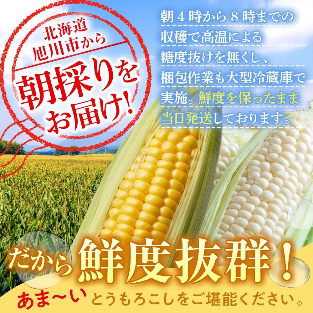 【先行予約】旭山動物園　白くま ライオンコーン MIX 合計8本（2026年8月中旬から発送開始） | とうもろこし 北海道産とうもろこし _03815