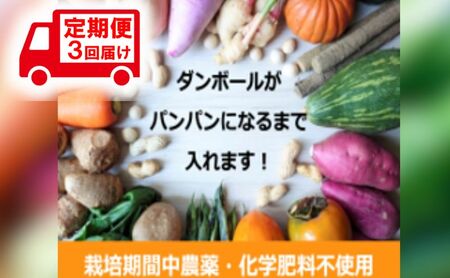 野菜 定期便 3ヶ月 2～4名様向け 旬の野菜 7種 セット 生野菜 やさい 新鮮 鮮度 産地直送 詰め合わせ 冷蔵 千葉 定期 お楽しみ 3回