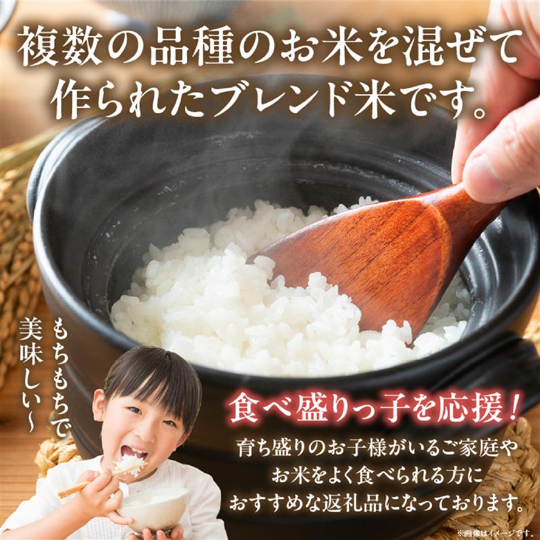 【生活応援米】湧水で育った小林市産ブレンド米 20kg（5kg×4袋 国産 お米 米 精米 ブレンド米 白米 家庭用）