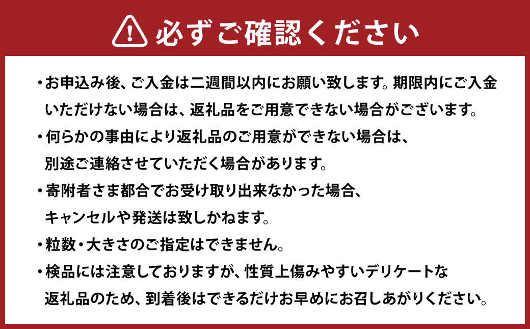 【訳あり】完熟あまおう 4パック