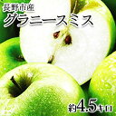 【ふるさと納税】【2024年10月順次発送 先行予約】長野市産　グラニースミス　約4.5キロ　果物類・林檎・りんご・リンゴ・グラニースミス・約4.5kg・フルーツ　お届け：2024年10月下旬～2025年3月中旬