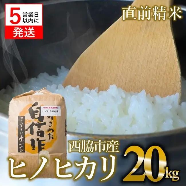 【ヒノヒカリ】令和７年産 白米20kg【5営業日以内に発送】