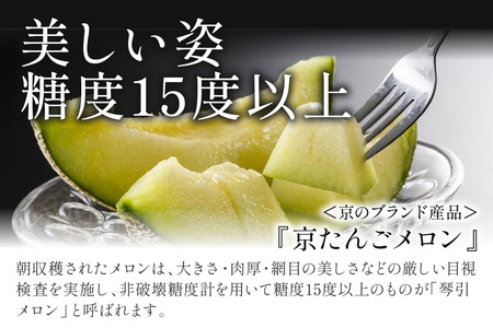 メロン／ブランドメロン＜糖度15度以上＞【先行予約】京のブランド産品 京たんごメロン 琴引メロン 2玉（2024年6月下旬～発送）　※マスクメロン（アールスメロン）系　フルーツ・メロン２玉・果物・ネッ