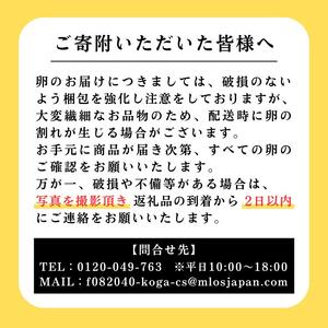 【定期便12か月】 江原ファーム　体に優しい地養卵（20個）| 卵 たまご タマゴ _AG24