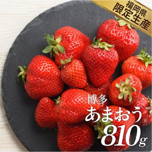 AA599.人気１位獲得謝礼品★限定品★博多あまおう約７５０g（先行受付．２０２７年２月以降発送）【あまおう】