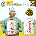 【ふるさと納税】【定期便全6回】令和6年産よっしーの「つや姫」さまeco（玄米）5kg×6 米 お米 おこめ 山形県 新庄市 F3S-1629