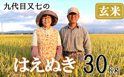 【令和8年産・玄米】九代目又七のはえぬき30kg　有機土壌醸成農法※9月下旬頃から順次配送