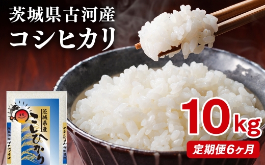 【定期便 6か月】【新米】令和8年産 古河市産コシヒカリ 10kg（5kg×2袋）｜米 コメ こめ ごはん ご飯 ゴハン 白飯 単一米 国産 コシヒカリ こしひかり 10kg 定期便 6ヶ月 6回 茨城県 古河市 ※2026年9月～発送 _DP44