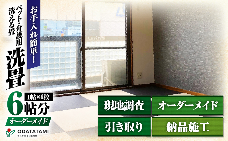 現代の名工カンパニー特製！ペット・介護洗える畳『洗畳』縁無琉球畳新調6帖サイズ（畳半帖サイズ12枚）　K348-014