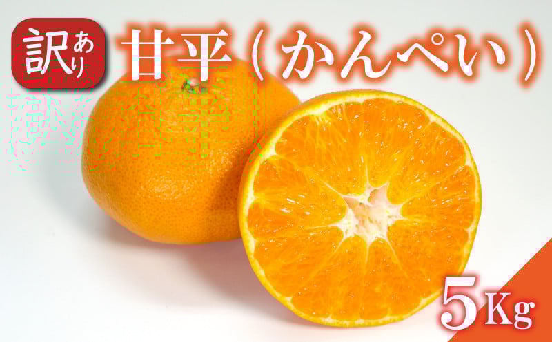 
                  訳あり 甘平 約5kg かんぺい 柑橘 みかん 愛媛県 松山市
                