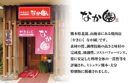 【全6回定期便】 熊本県産 黒毛和牛 こだわりのビーフシチュー 計2パック （約250g×2パック） ビーフシチュー ビーフ シチュー 牛肉 肉 　【有限会社スイートサプライなかぞの】[ZBV109]