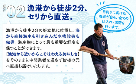 天然 とり貝 お刺身 大9枚×3セット 岬だより トリ貝 刺し身