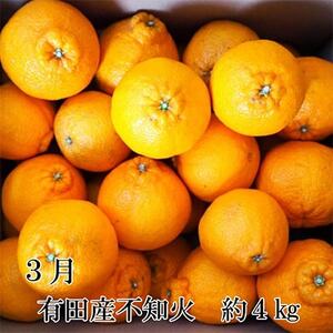 【発送月固定定期便】和歌山の春柑橘定期便全3回【4004526】