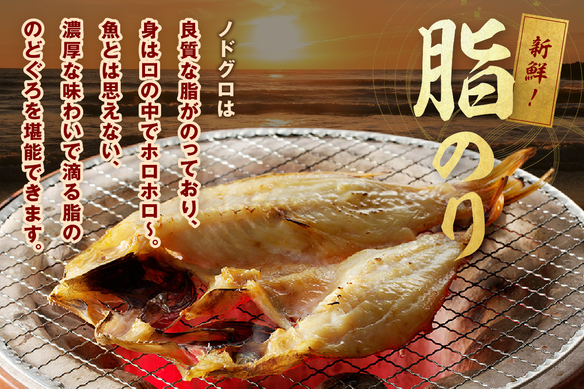 【先行予約】のどぐろ干物 特大3～4枚（計700g前後）＜9月中旬以降発送＞ のどぐろ本来の旨味に出会う渾身の干物 河野乾魚店 魚介類 魚貝類 干物 干もの 一夜干し お祝い お取り寄せ グルメ 【0