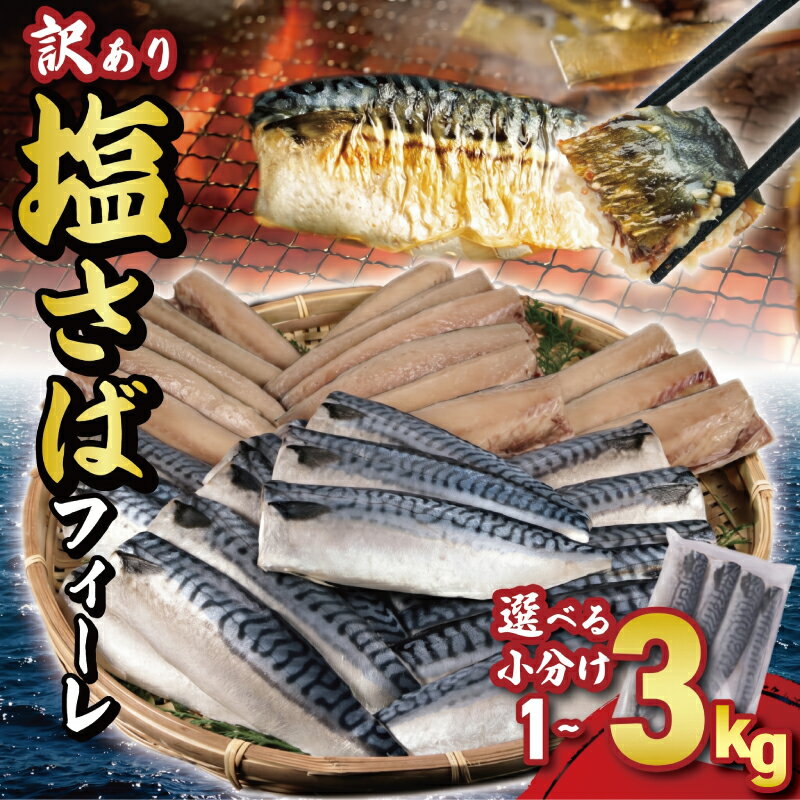 【ふるさと納税】 訳あり サバ 塩サバフィーレ 約 1kg 2kg 3kg ノルウェー産 小分け 鯖 塩鯖 フィレ フィーレ 切身 切り身 規格外 海鮮 大容量 魚 おかず 惣菜 焼魚 魚介 魚貝 つまみ 弁当 人気 グルメ お取り寄せ ふるさと納税鯖 冷凍 送料無料 千葉県 銚子市 大一奈村