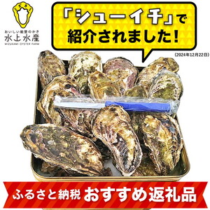 【能登半島地震復興支援】【発送時期が選べる】水上水産の能登のかき 三分缶ガンガン焼き（約20個・ナイフ付） ※離島への配送不可 石川県 七尾市 能登 ※2026年1月上旬～4月下旬頃に順次発送予定