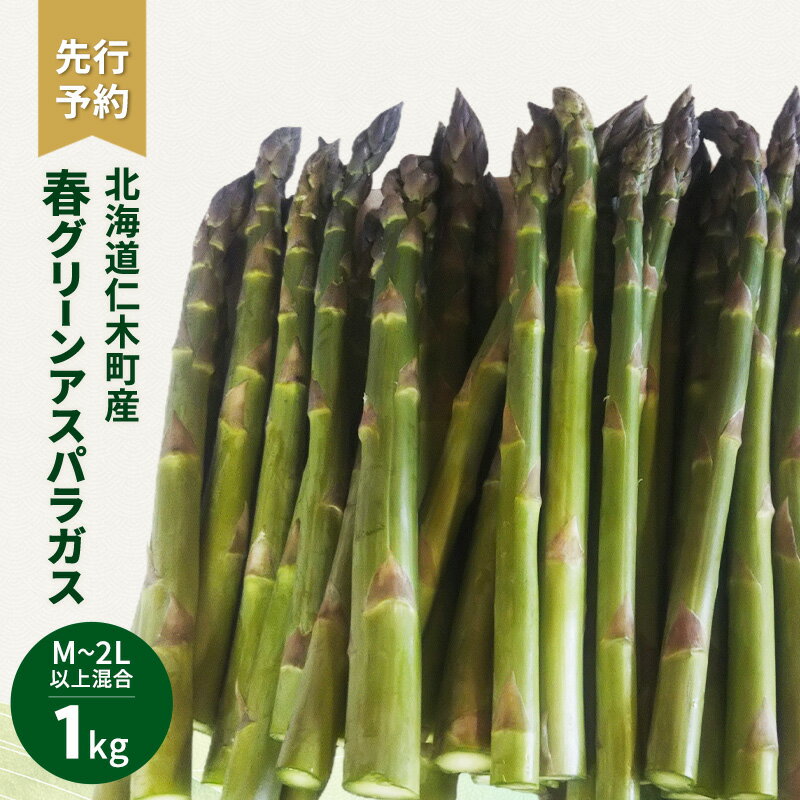 【ふるさと納税】先行受付 北海道 仁木町産 春グリーンアスパラ M～2L以上混合 1kg アスパラ 野菜 新鮮 食材 春野菜 旬の野菜 北海道産 北海道野菜 国産 日本産 [古屋農園]　お届け：2026年4月下旬～5月下旬まで