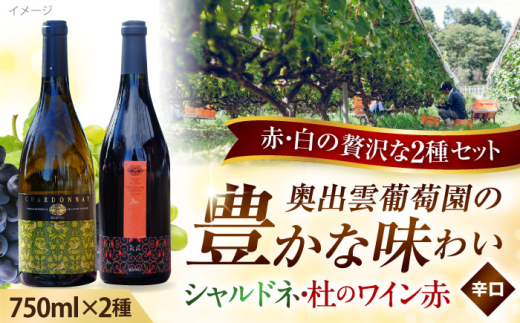 奥出雲葡萄園 シャルドネ・杜のワイン赤 ワイン お酒 ギフト 国産 熟成ワイン 熟成 酒 赤 赤ワイン 白 白ワイン 辛口 果実酒 お祝 贈答用 アルコール フルボトル 飲料 島根県雲南市/有限会社奥出雲葡萄園 [AICS005]