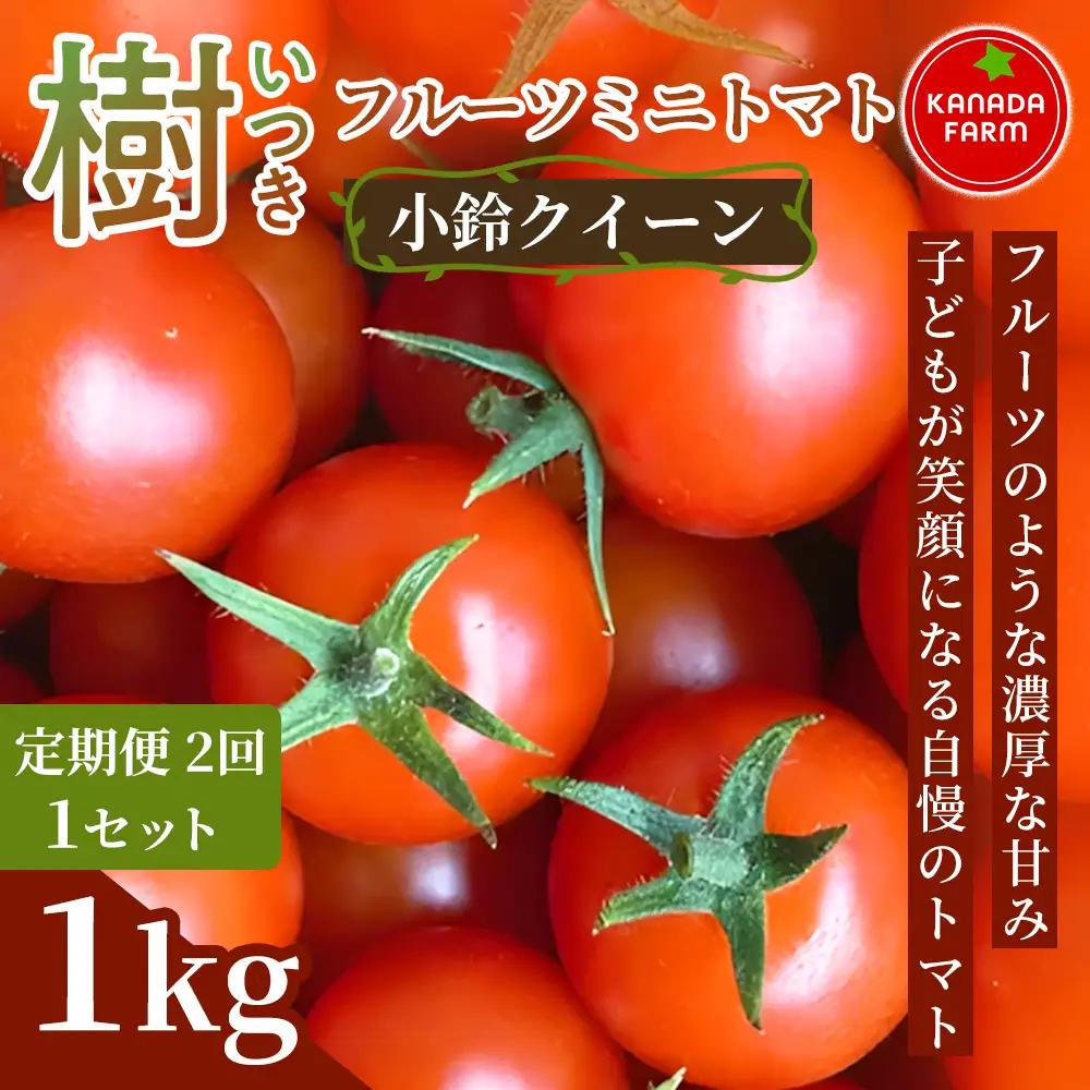 《先行予約》【定期便2ヶ月】樹（いつき）フルーツミニトマト（小鈴クイーン）1kg 定期便 甘い野菜 デザート感覚 おやつ スイーツ感覚 サラダ用 そのまま食べる フルーツのような濃厚な甘み 旬 家庭用 贈り物 お取り寄せ 産地直送 愛知県 豊橋市