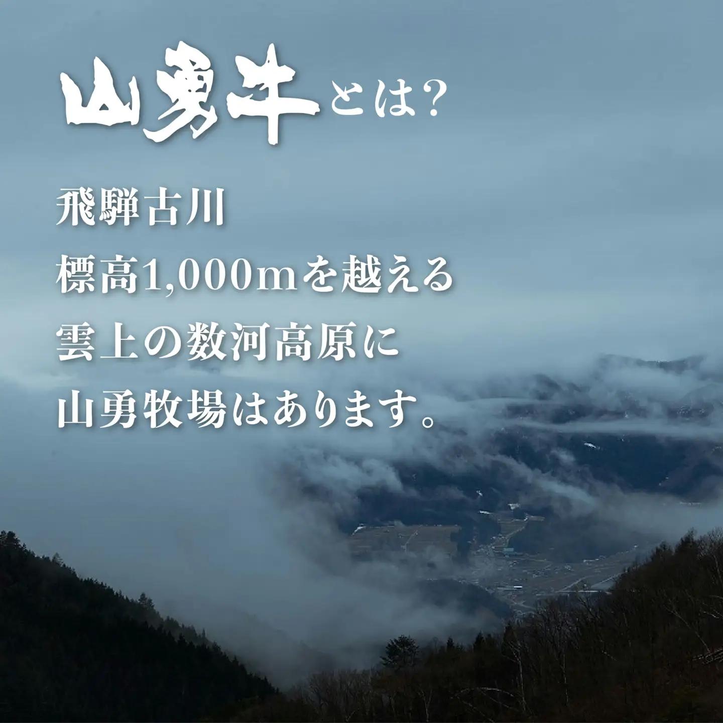 熟成めす 飛騨牛 山勇牛 部位おまかせ 3種 ステーキ 食べ比べ セット 100g×3 飛騨牛 ステーキ 食べ比べ