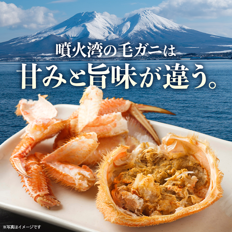 北海道産 冷凍ボイル毛ガニ 300g前後×9尾  mr1-1441