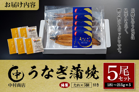 ◆中村商店　うなぎ蒲焼5尾セット