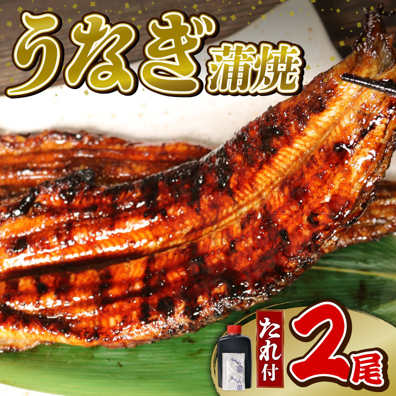 
            うなぎ 蒲焼 2尾 (140g×2)  蒲焼 鰻蒲焼 ウナギ かばやき 土用 丑の日  活鰻 自家製蒲焼 たれ 山椒 ギフト 贈答   冷蔵 まとめ買い 静岡県 藤枝 ふるさと人気
          