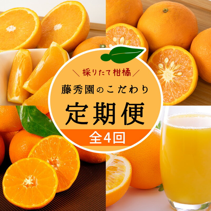 【ふるさと納税】【限定】 【定期便 4回】こだわりの定期便 藤秀園 【ミカン 蜜柑 柑橘 温州みかん 和歌山 有田】【みかん 柑橘 定期便 頒布会 和歌山】