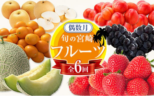 
＜偶数月全6回＞フルーツ 定期便 国産 果物 おすすめ 旬 宮崎県産 産地直送 いちご プラム ぶどう 梨 メロン 金柑【F141】
