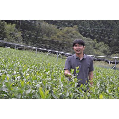 ふるさと納税 川根本町 相藤農園の川根茶　一番摘み100g袋3本 |  | 02