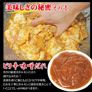 牛白ホルモンミックス ピリ辛味噌だれ 1kg(250g×4パック) 冷凍 小分け ホルモン 味噌 たれ 味付 焼肉 焼き肉 肉 牛 牛肉 おかず おつまみ 【そうざい男しゃく（株式会社池延）】【ho1