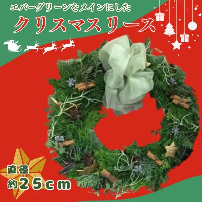 ふるさと納税 日出町 【2026年11月下旬より順次発送予定】日出町からお届け!クリスマスのメインにもなれる自慢のリース♪